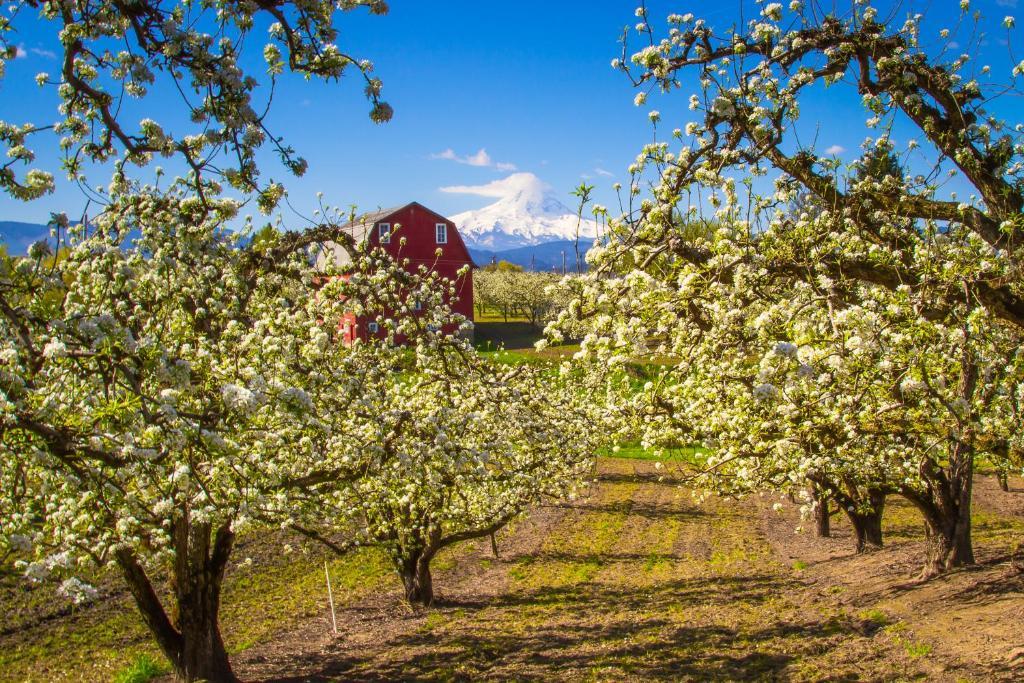 Columbia Cliff Villas Hood River Dış mekan fotoğraf